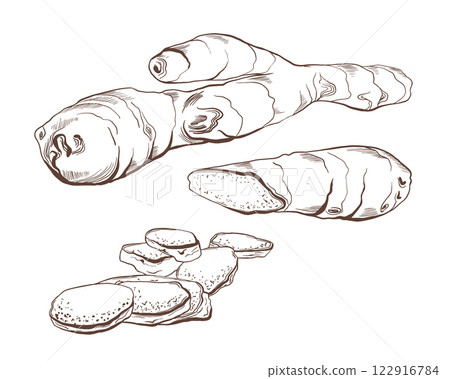 Ginger root vector illustration with sliced pieces. Fresh, healthy food, spices, cooking, and natural product concept.Minimalistic,clean style.Ideal for blogs, recipes, packaging, and culinary design 122916784