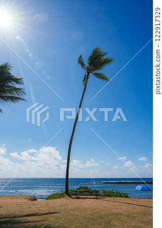 A tall palm tree leans over a bench on dry grass near sparkling ocean waters. A breakwater extends into the sea, with a beach umbrella in the distance. 122917329
