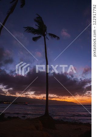 A tall palm tree stands against a colorful sunset sky with orange, purple, and blue hues. The ocean, rocky shore, and distant coastal lights are visible. A tall palm tree stands against a colorful sunset sky with orange, purple, and blue hues. The ocean, rocky shore, and distant coastal lights are visible. 122917792