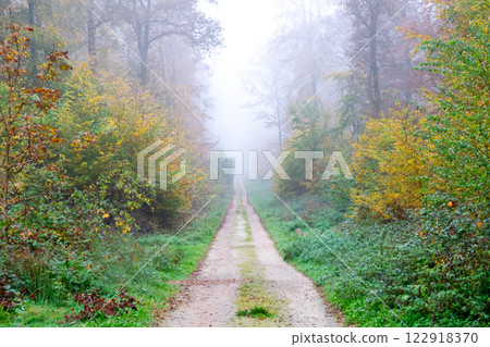 View of the fabulous autumn forest with much trees and way for walking in a morning fog. Bad weather. Nature background. 122918370