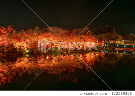 The scenery of maple leaves dyed red by the illumination The scenery of maple leaves dyed red by the illumination 122919398