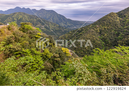 綠意盎然的葉子和神明居住的山脈：離岸的阿爾卑斯山屋久島 122919824