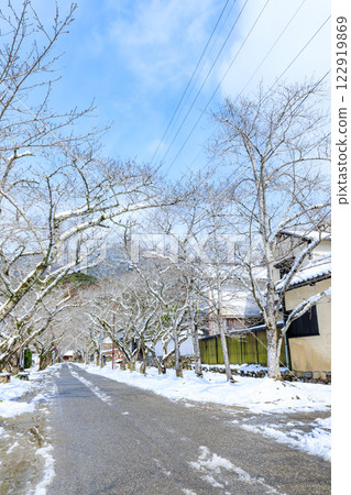 冬季白雪皚皚的秋月城遺址，福岡縣朝倉市城堡入口處 122919869