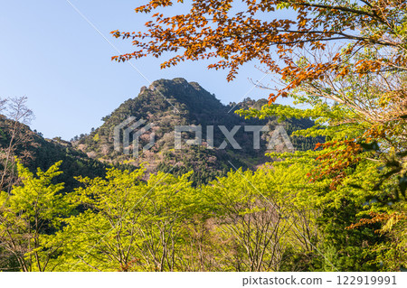 阿爾卑斯山近海的神明居住的島嶼屋久島：新綠與山櫻花 122919991