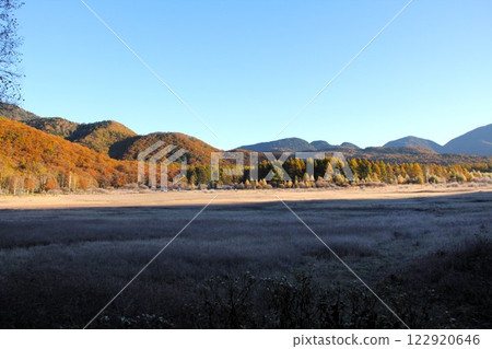 Autumn leaves at Odashirogahara in October 2012 Autumn leaves at Odashirogahara in October 2012 122920646