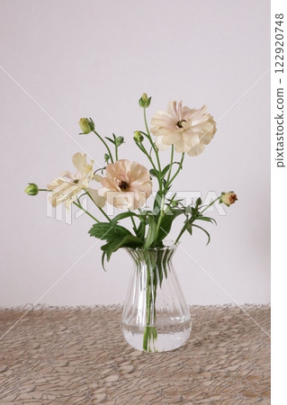 Ranunculus LUX 122920748