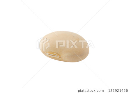 透明背景（png）上的一顆幸運豆（大豆） 122921436
