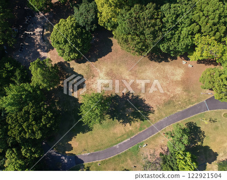 Aerial view of autumn park forest taken by drone 122921504