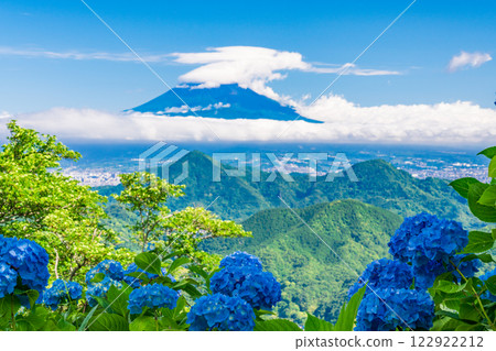 [Shizuoka Prefecture] Izu Panorama Park: Hydrangeas on the mountaintop and a view of Mt. Fuji 122922212
