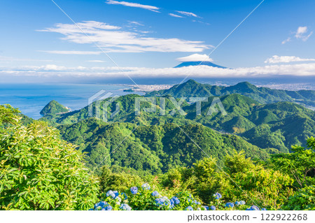 [Shizuoka Prefecture] Izu Panorama Park: Hydrangeas on the mountaintop and a view of Mt. Fuji 122922268