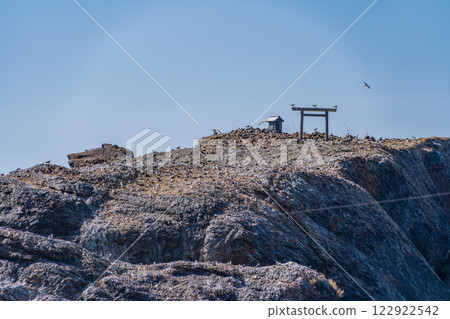 The view of Kyojima Island in Izumo City, Shimane Prefecture, which has been designated a natural monument as a breeding ground for black-tailed gulls. 122922542