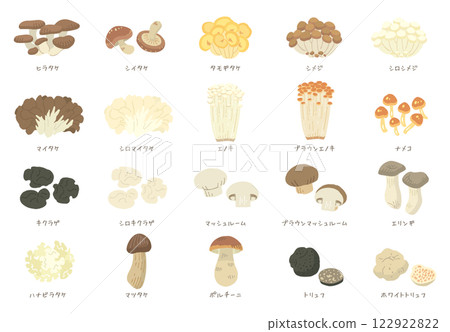 20 types of mushroom illustrations with names (vectors included) 20 types of mushroom illustrations with names (vectors included) 122922822
