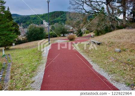 A view of the sidewalk in the park, newly resurfaced in dark red. A view of the sidewalk in the park, newly resurfaced in dark red. 122922964