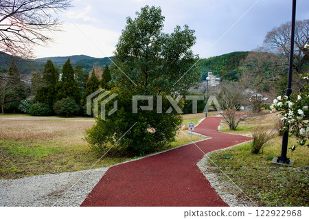 公園人行道一景，新舖的路面呈現深紅色。 122922968