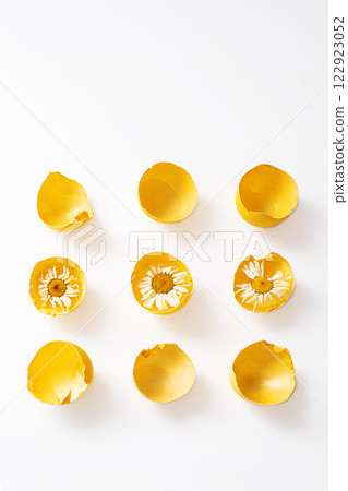 Yellow Eggshells with Flowers Inside. Easter Greeting Card. 122923052