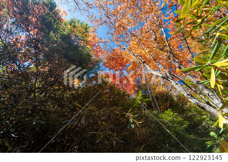 水垣及週邊風景 122923145