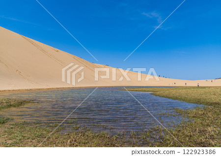 A view of the oasis in Tottori Sand Dunes, Japan, visited by many tourists 122923386