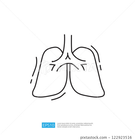 A simple line drawing of human lungs, illustrating the respiratory system's structure. A simple line drawing of human lungs, illustrating the respiratory system's structure. 122923516