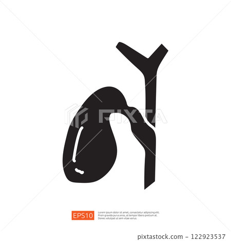 A minimalist black silhouette depicting a kidney shape alongside a tubular structure, likely representing a medical or anatomical illustration. A minimalist black silhouette depicting a kidney shape alongside a tubular structure, likely representing a medical or anatomical illustration. 122923537