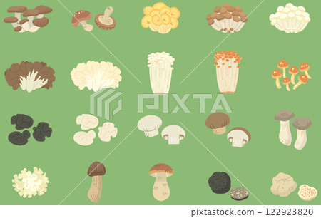 20 種蘑菇插圖/無名稱/綠色背景（可用向量） 122923820