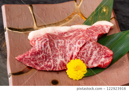 Wagyu beef thigh 122923916