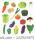 蔬菜 122923975
