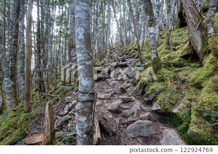 國志岳、甲伏岳及其周邊風景 國志岳、甲伏岳及其周邊風景 122924769