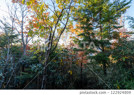 國志岳、甲伏岳及其周邊風景 122924809