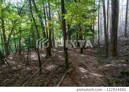 Mount Kobushigatake, Nishizawa Valley and surrounding scenery 122924892