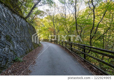 甲伏岳、西澤溪谷及週邊風景 122924905
