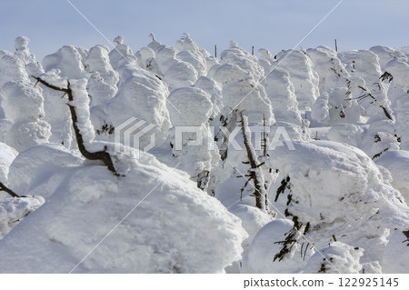 Yamagata Zao Onsen Ski Resort The frost-covered trees of Zao 122925145