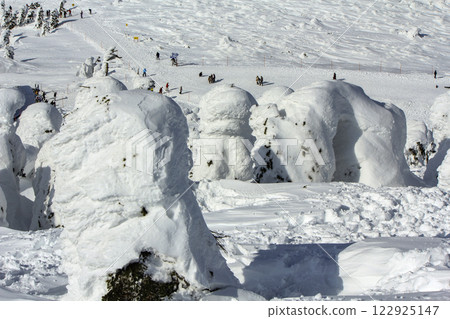 Yamagata Zao Onsen Ski Resort The frost-covered trees of Zao 122925147