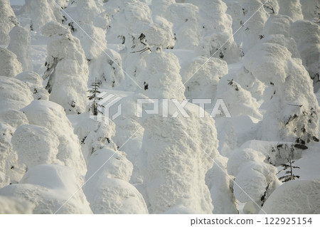 山形藏王溫泉滑雪場 藏王的冰霜樹 122925154