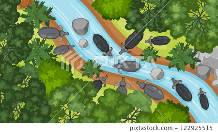 Aerial View of River and Animals Aerial View of River and Animals 122925515