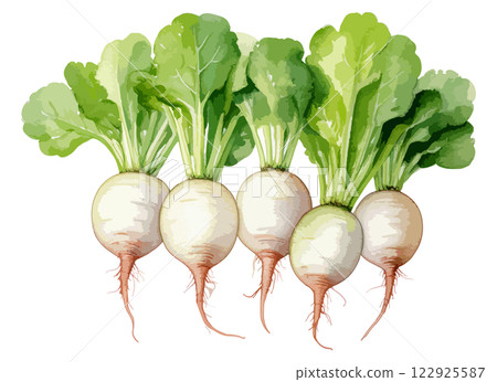 蘿蔔水彩插畫AI生成 122925587