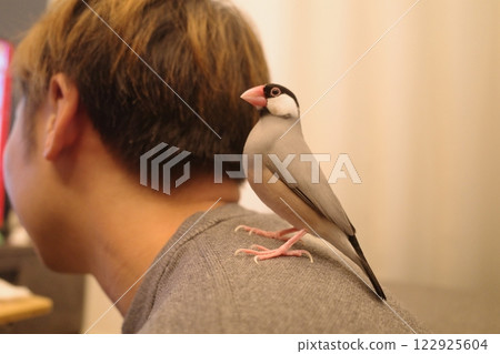 A buncho sitting on a man's shoulder 122925604