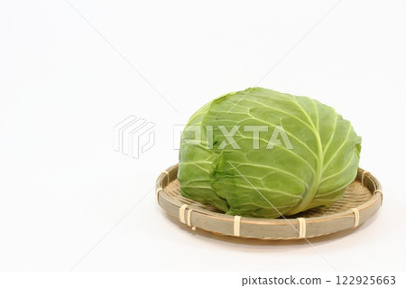 高麗菜的可愛圓形讓人感覺很舒服 高麗菜的可愛圓形讓人感覺很舒服 122925663
