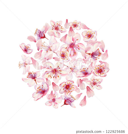 Sakura flowers on a white background. Spring blooming cherry blossom flowers for Hanami festival. Delicate shades of pink, lilac, lilac, purple petals. Watercolor template for card, poster, web page 122925686