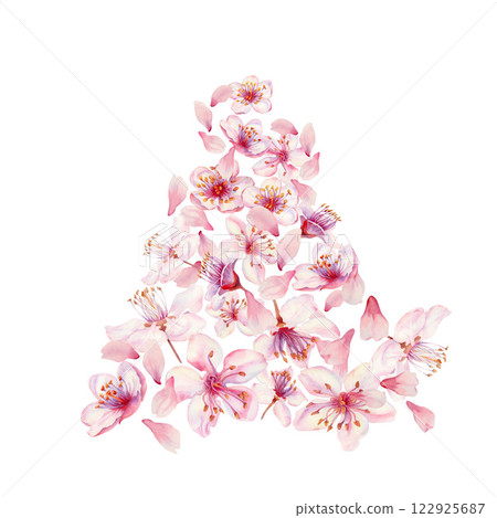 Sakura flowers on a white background. Spring blooming cherry blossom flowers for Hanami festival. Delicate shades of pink, lilac, lilac, purple petals. Watercolor template for card, poster, web page 122925687