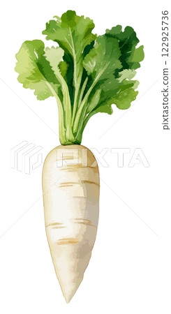 蘿蔔水彩插畫-AI生成 122925736