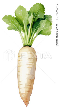 蘿蔔水彩插畫-AI生成 122925737