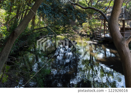 Trees reflected on the water in a park in Tokyo. Trees reflected on the water in a park in Tokyo. 122926016