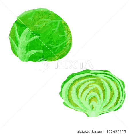 捲心菜品種手繪彩色插圖集 捲心菜品種手繪彩色插圖集 122926225