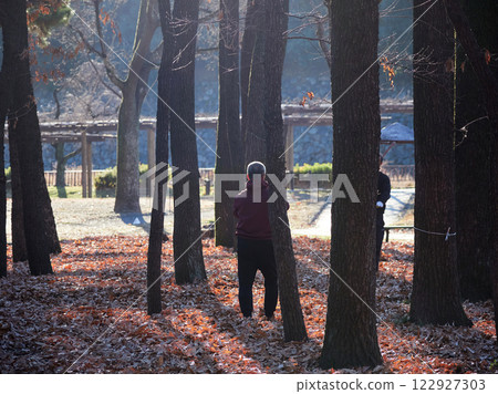 冬日早晨,一位老人在公園的森林打太極拳 冬日早晨,一位老人在公園的森林打太極拳 122927303