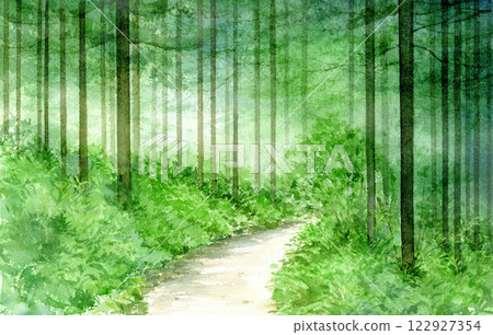 Watercolor painting of a forest path 122927354