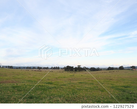 Scenery of the Princes Highway near Orbost Victoria Australia Scenery of the Princes Highway near Orbost Victoria Australia 122927529