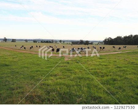 Scenery of the Princes Highway near Orbost Victoria Australia 122927530