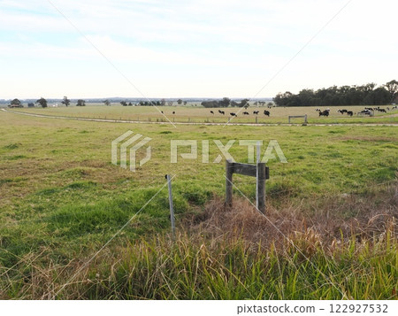 Scenery of the Princes Highway near Orbost Victoria Australia 122927532