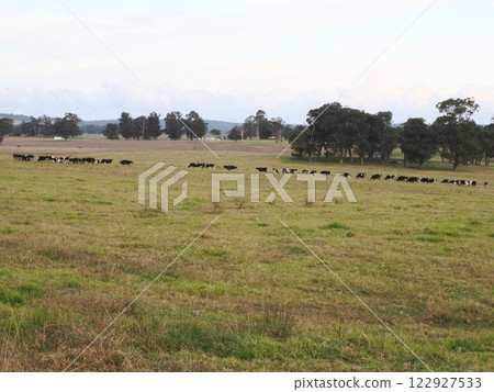 Scenery of the Princes Highway near Orbost Victoria Australia Scenery of the Princes Highway near Orbost Victoria Australia 122927533