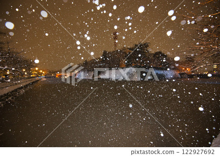 Fukui Prefectural Office Moat in a Snowstorm and Dinosaurs at Fukui Station Fukui Prefectural Office Moat in a Snowstorm and Dinosaurs at Fukui Station 122927692